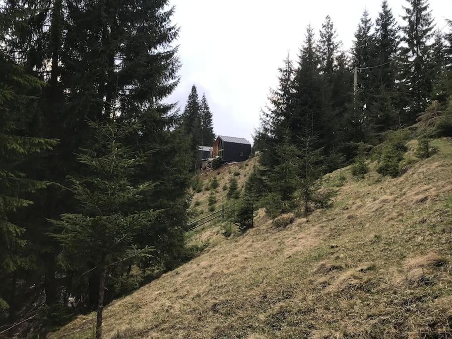 Шале Dereva Yablunytsya Exterior foto