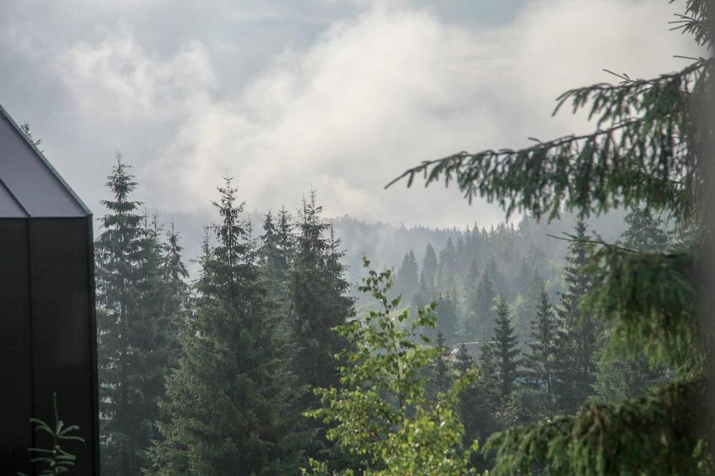Шале Dereva Yablunytsya Exterior foto